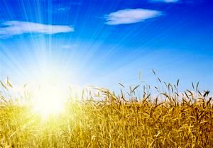 مصرف این مواد غذایی در تابستان ممنوع!