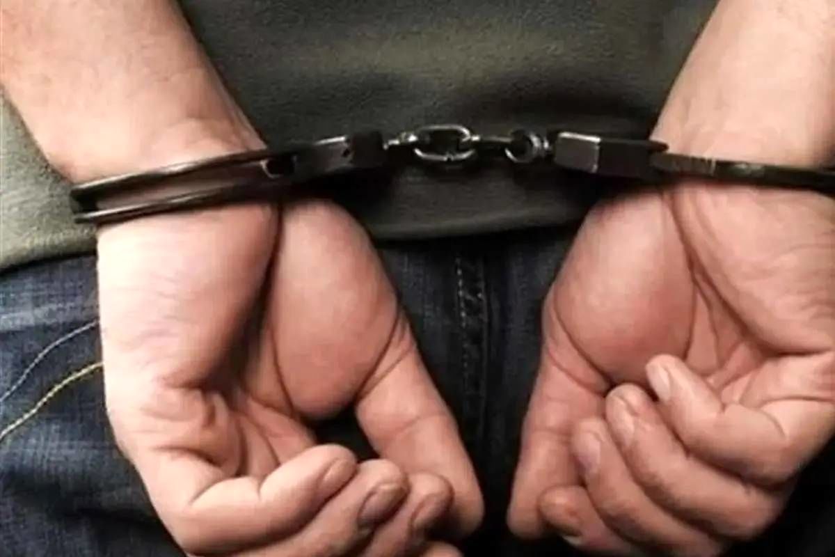 جزییات دستگیری هفت بازیگر مشهور