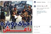 دوباره داعش آمد/فیلم

