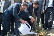 آغاز بزرگترین پروژه فضای سبز روستایی کشور 
