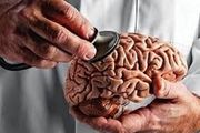 عدم تقارن مغز توانایی خواندن را افزایش می‌دهد
