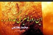 مهدوی: ایران به تعداد همه کشورهای جهان شاعر دارد