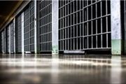 
محکومیت عامل آتش سوزی منطقه حفاظت شده شیمبار
