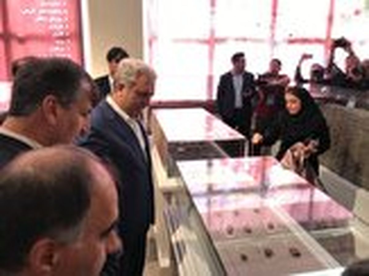 
‌نمی‌توانم تضمین کنم ۱۷ هزار لوح هخامنشی به ایران بازگردد
