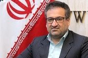 مشخص شدن مبنای تعیین قیمت دلار باعث کنترل نوسانات می شود