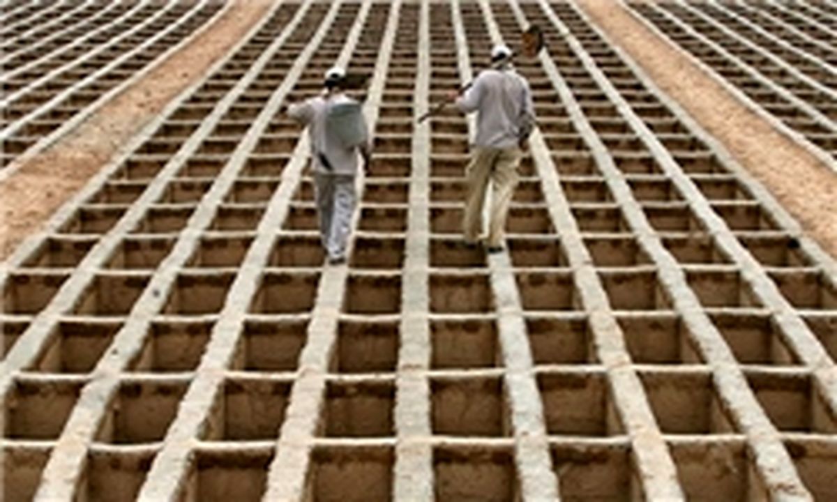 عامل قیمت های سرسام آور قبور در بهشت زهرا