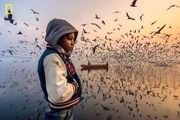 برندگان مسابقه عکاسی نشنال جئوگرافیک ۲۰۱۹ / گزارش تصویری