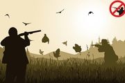 شکار غیرمجاز حیوانات چه مجازاتی دارد؟