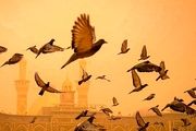 هوای غبارآلود بین‌الحرمین/ گزارش تصویری
