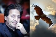 انتقاد ابوالفضل پورعرب از شکار و قاچاق پرندگان
