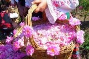 بهترین عرقیات برای فصل بهار کدامند؟
