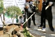 ترویج درختکاری در گروه خودروسازی سایپا