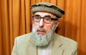 حکمتیار: ما و طالبان در جنگ واحدی هستیم