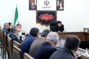 مخبر: پرداخت وام ۲۰۰میلیون تومانی تسریع میشود