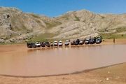 چرخ خودروهایی که اثر ملی را زیر گرفتند