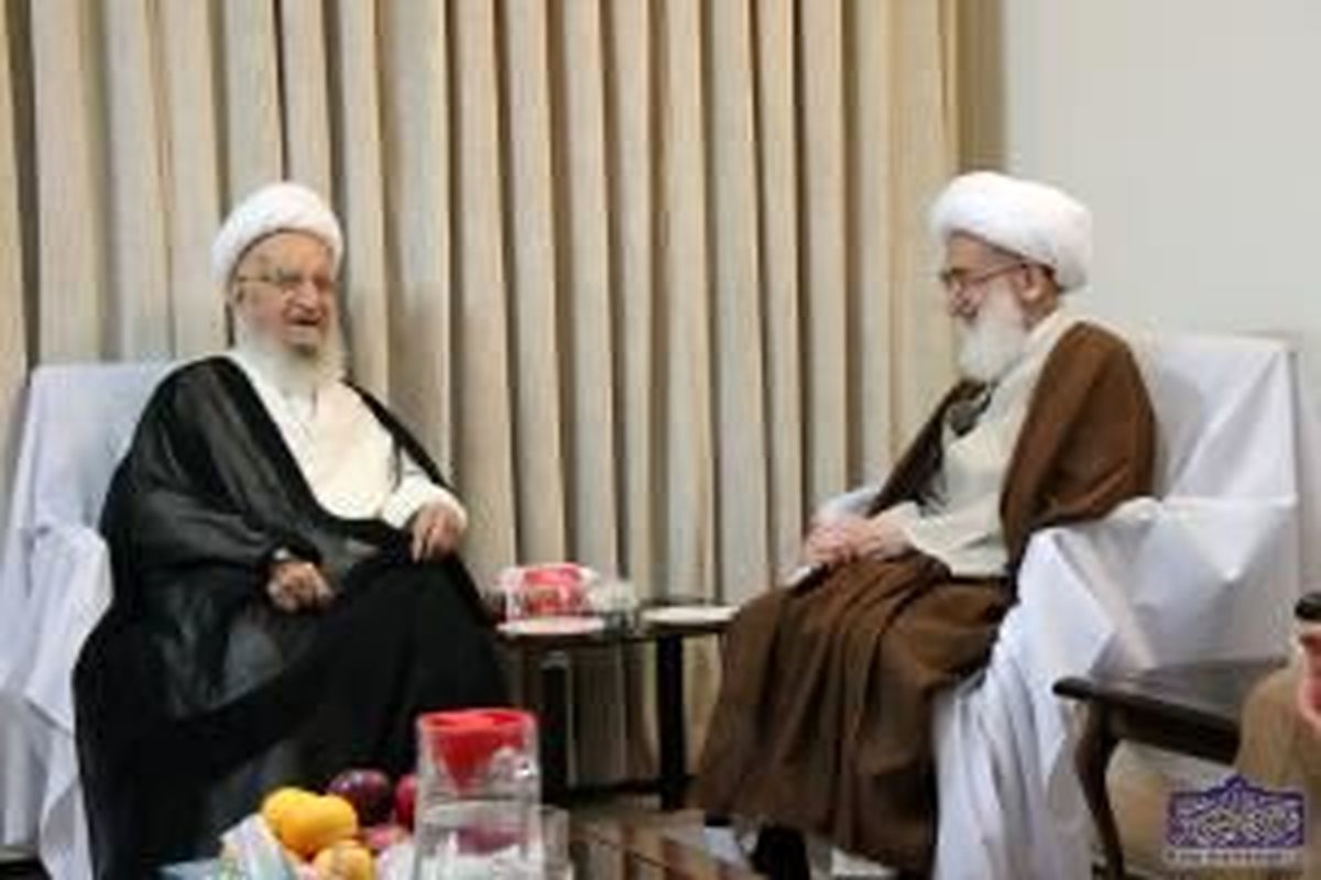 تاکید آیات عظام مکارم شیرازی و نوری همدانی بر تسریع در انتخاب رهبری