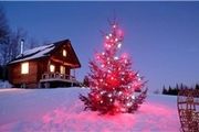 گران‌‌ترین درخت کریسمس تاریخ +عکس