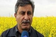 واردات روغن کشور در انحصار 4 یا 5 نفر /اختصاص ارز 4200 تومانی به روغن تعجب برانگیز است