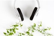 برای گیاهان خود موسیقی پخش کنید