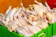 نوسان قیمت در بازار مرغ گرم