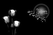 شهادت امام جواد علیه السلام تسلیت باد/گزارش تصویری