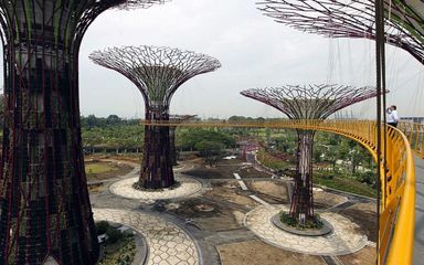 n00101785-r-b-001
