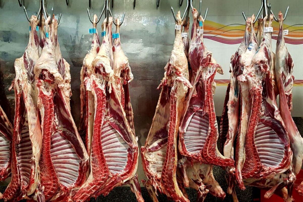 گوشت وارداتی کیفیت گوشت تولید داخل را ندارد
