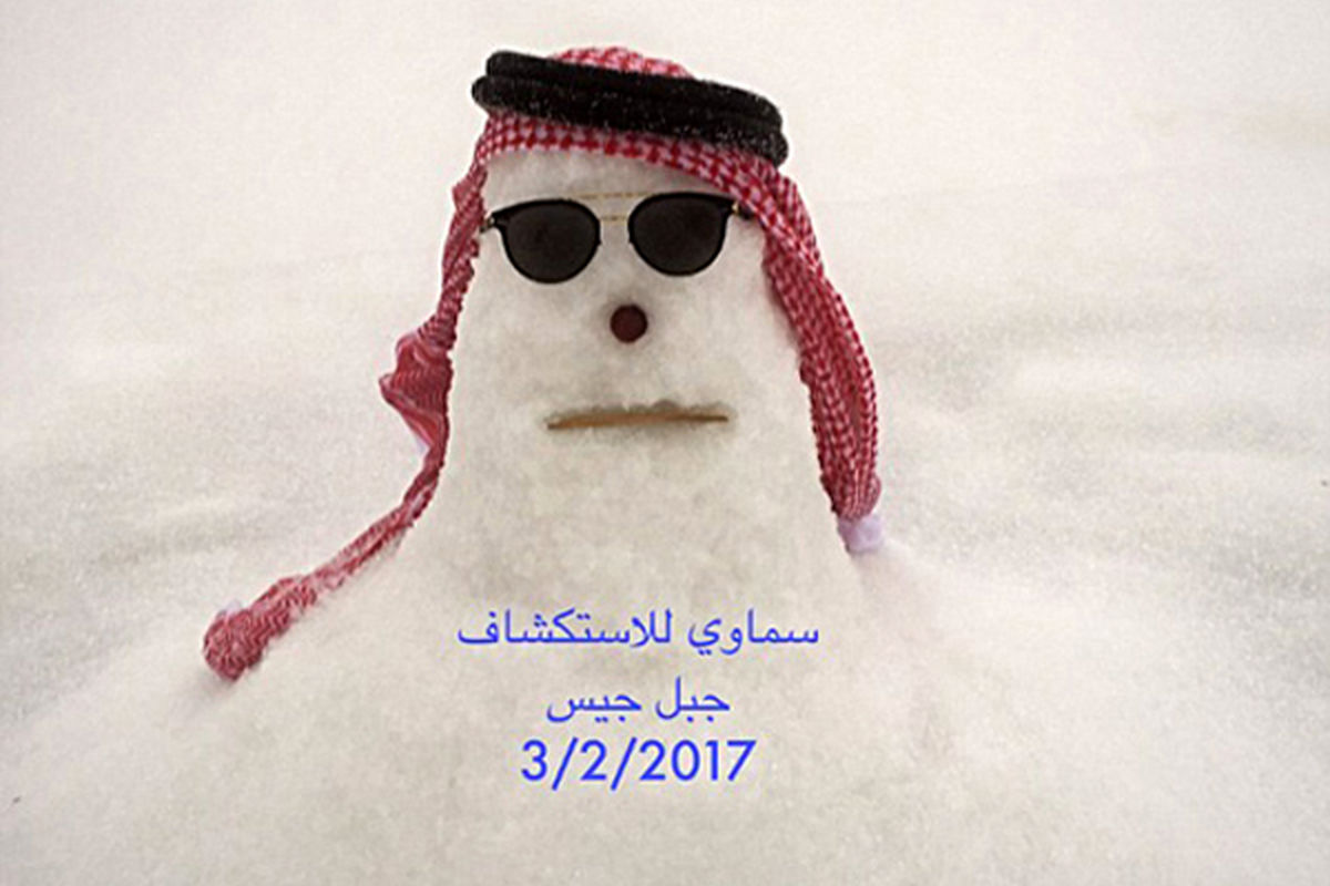 آدم‌برفی دوبی در توییتر طوفان کرد/ عکس