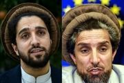 شیر شاه جدید در پنجشیر متولد شد!+ عکس