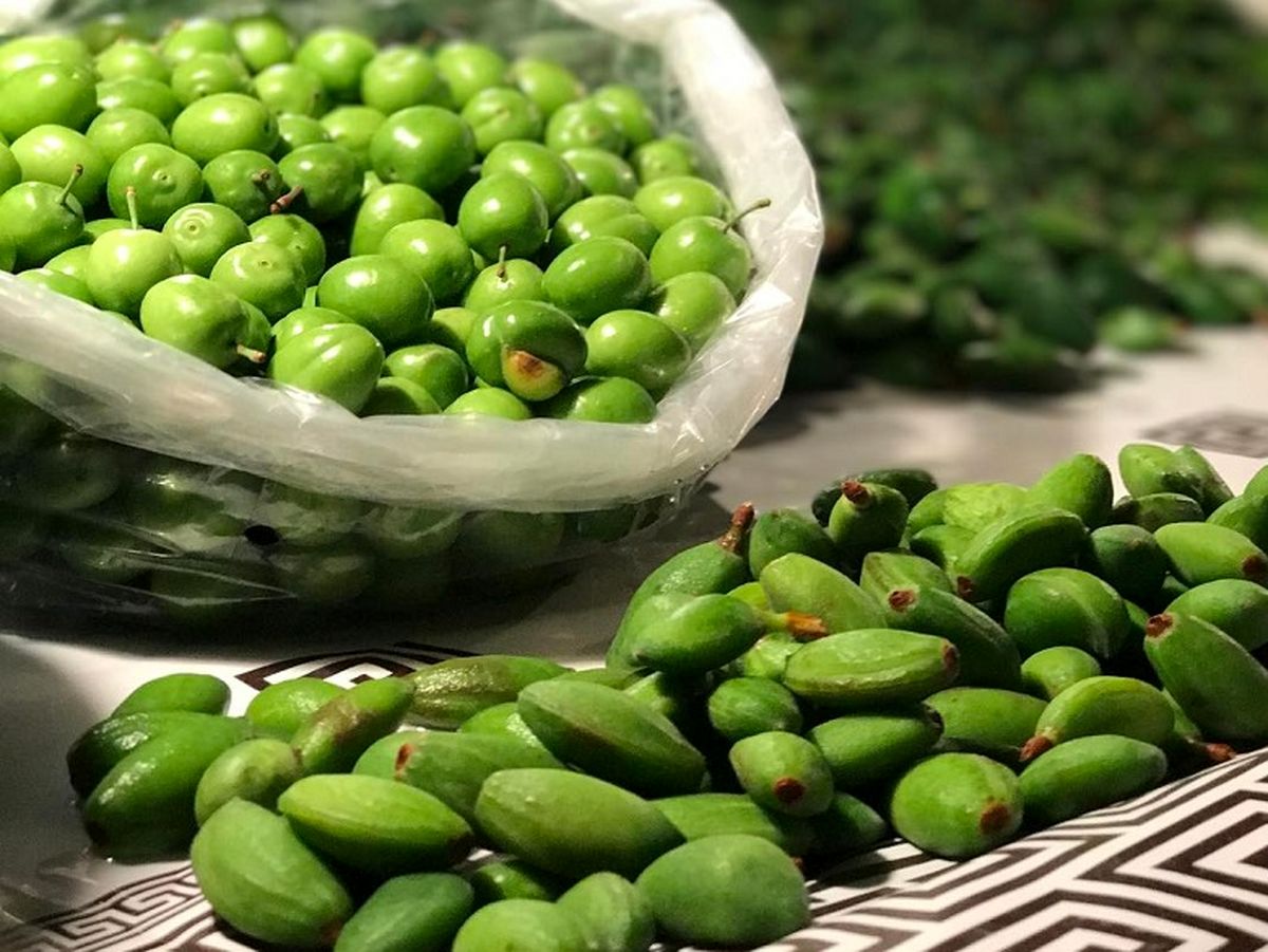 درمان آفت با چاقاله‌بادام