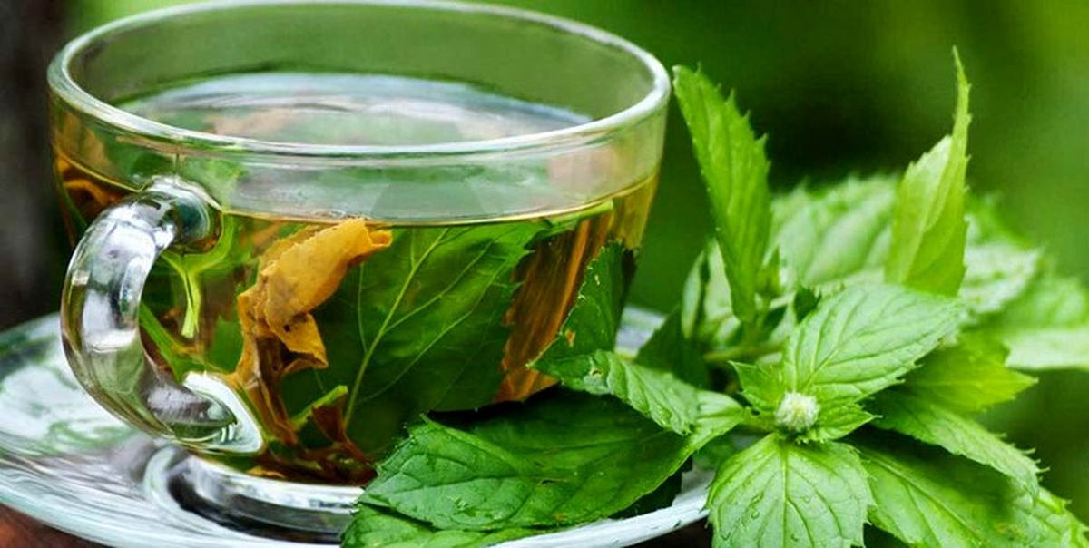 دمنوش‌هایی شگفت انگیز برای تقویت ایمنی بدن در برابر کرونا