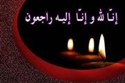 بنیانگذار ژیمناستیک ایران درگذشت