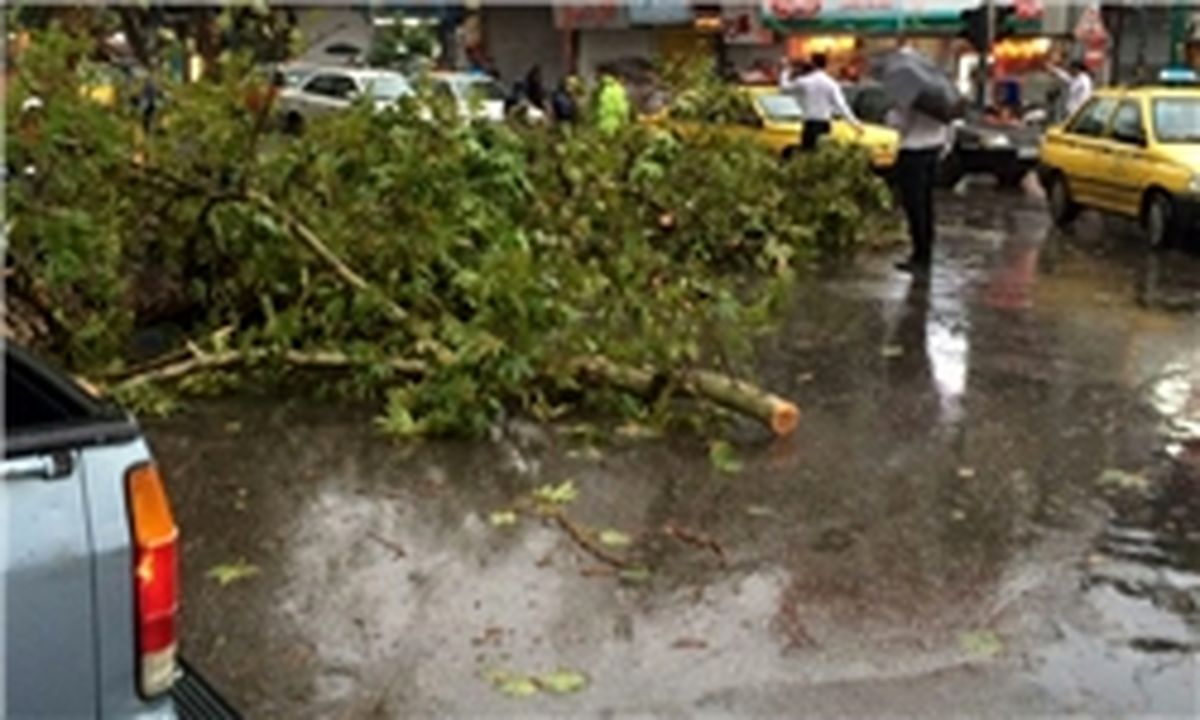جزئیاتی از حوادث توفان امروز تهران