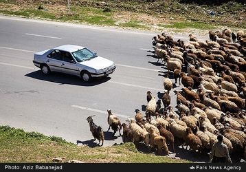 کوچ عشایر