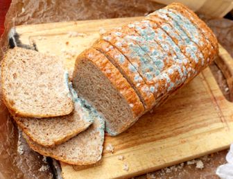 کپک نان و عوارضی که مصرف آن دارد
