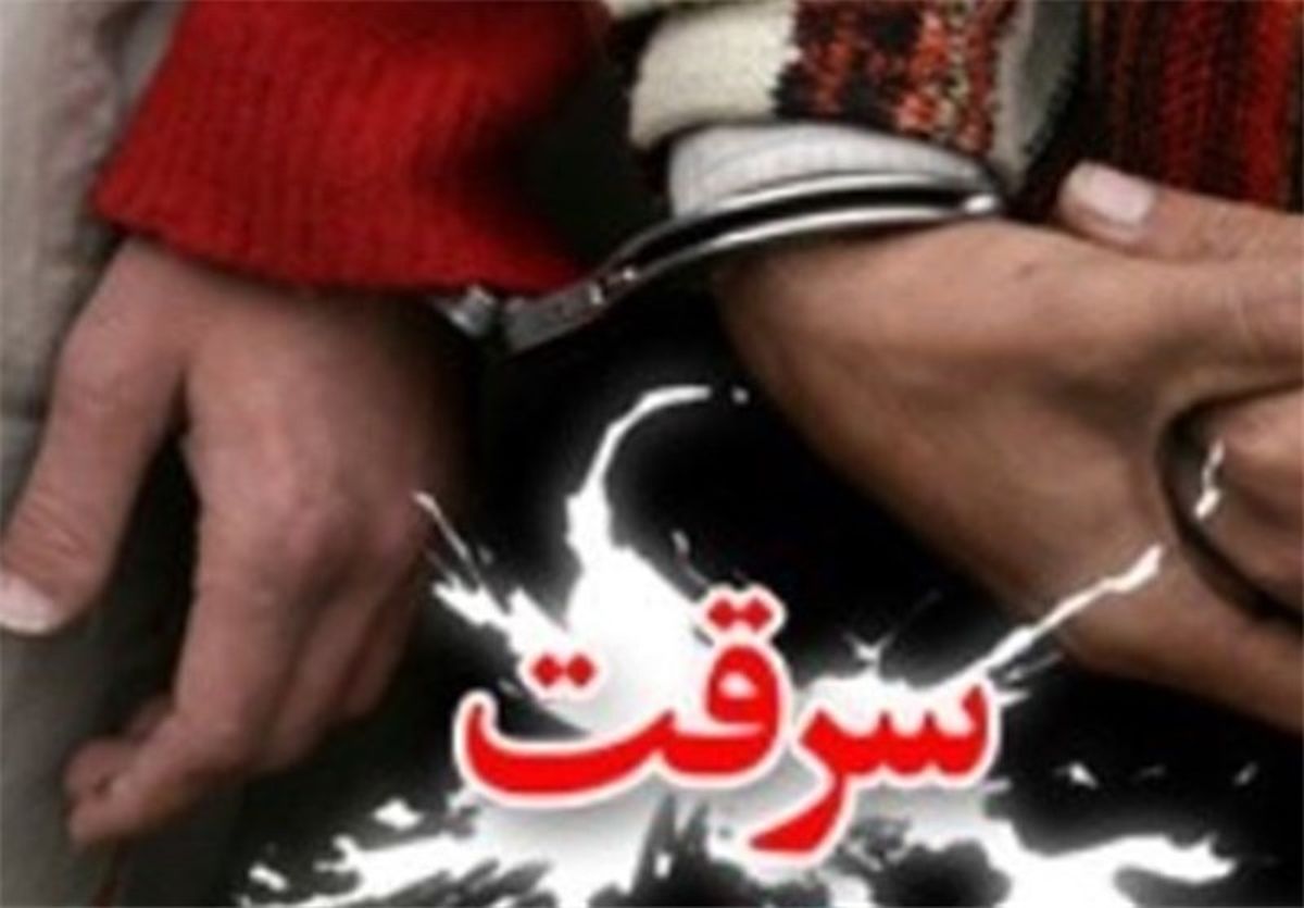 یک سارق با ۲۲ فقره انواع سرقت در گرگان دستگیر شد 