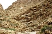 
آشنایی با منطقه شکار ممنوع تپال + تصاویر
