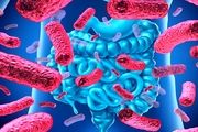 یک کشف جدید درباره ابتلا به HIV
