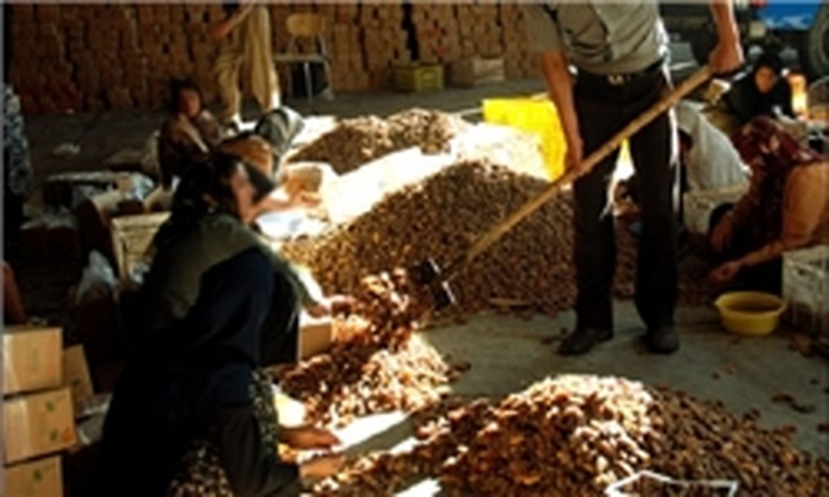 خرماهایی که در سکوت دفن شدند! 