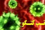 
50 درصد مبتلایان به تب 
