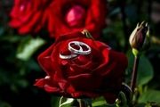 بزودی نرخ واقعی وام ازدواج را اعلام می‌ شود
