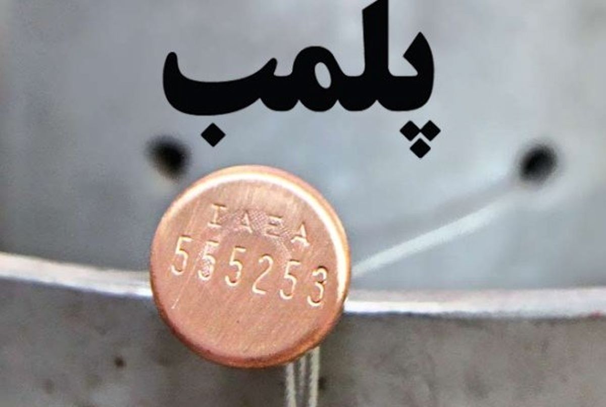 عطاری متخلف در جنوب تهران پلمب شد
