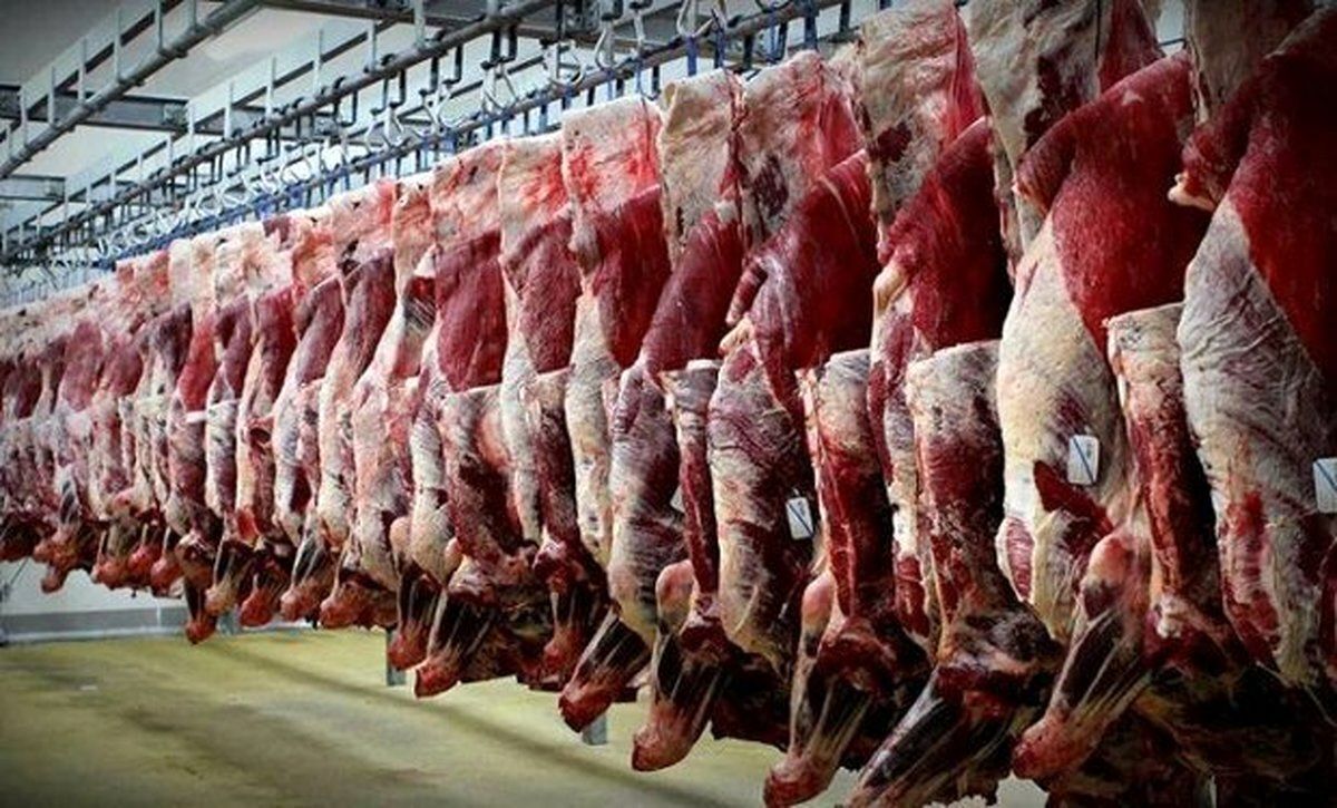 تامین و توزیع گوشت قرمز روبه افزایش است
