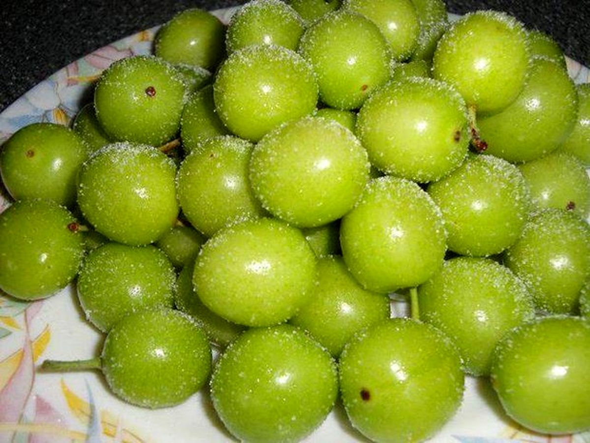 میوه‌های نوبرانه‌ با قیمت‌های نجومی
