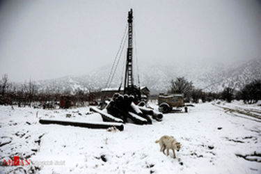 thm_1020482_693