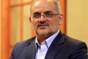 «شبکه شاد» یک پاسخ خلاقانه بومی، به یک نیاز ملی، بود