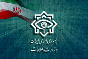 ۳ لیدر و ۱۴ مزدور شبکه خرابکاری خیابانی دستگیر شدند | وزارت اطلاعات خبر داد