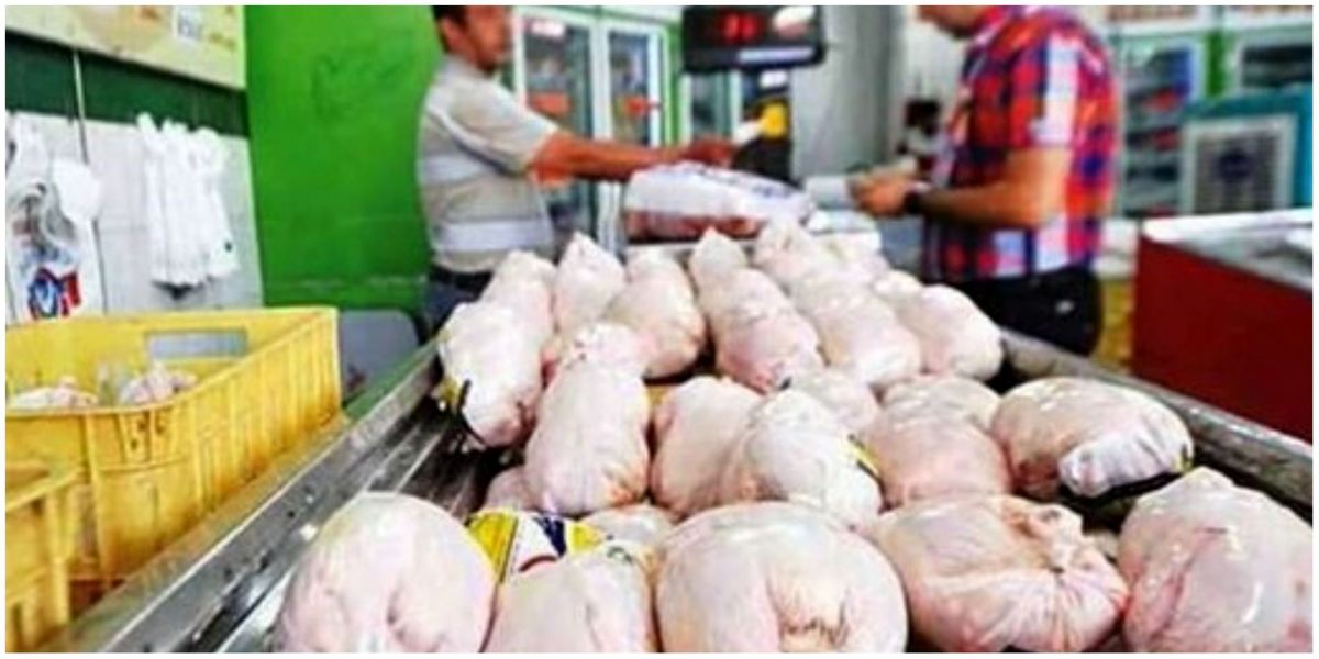 نرخ مرغ گرم ۱۳ هزار تومان کمتر از نرخ مصوب است
