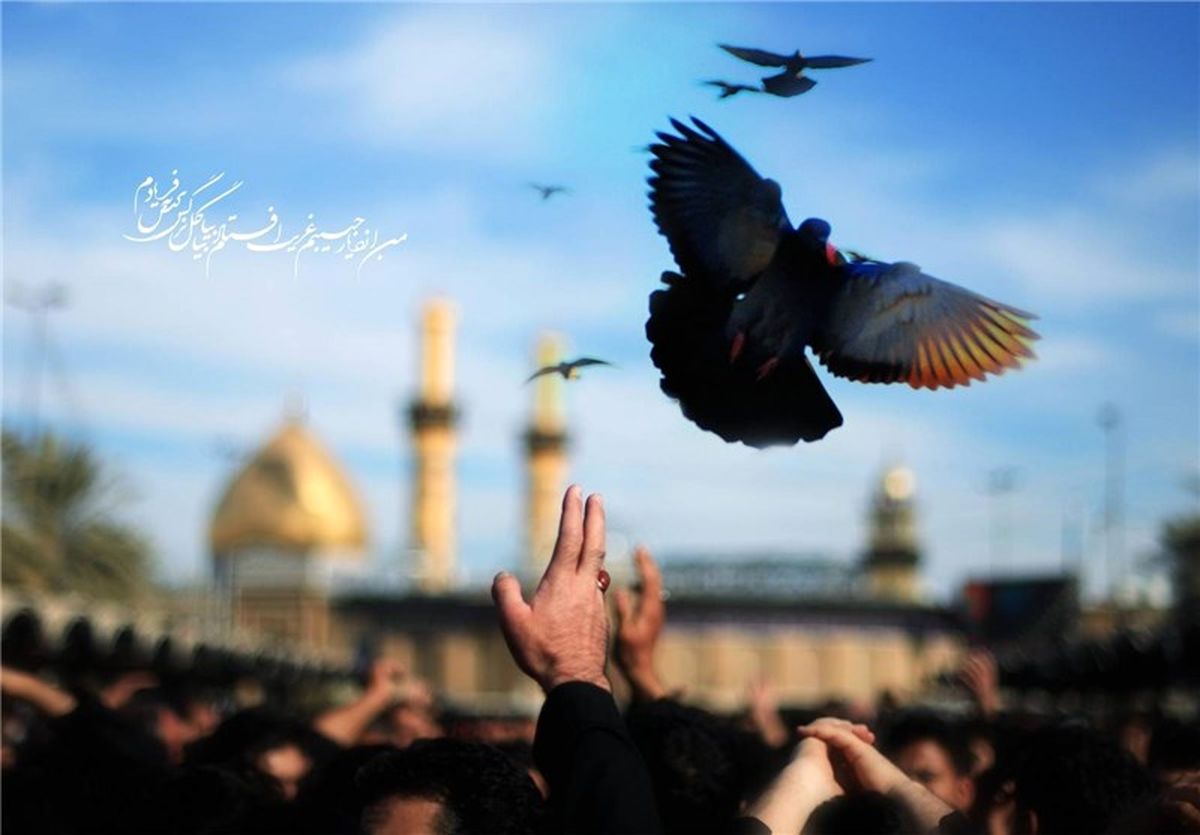 آیا می دانید کمترین پاداش برای زائر امام حسین(ع) چیست؟
