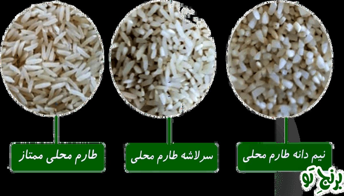 در مورد برنج طارم چه می دانید؟
